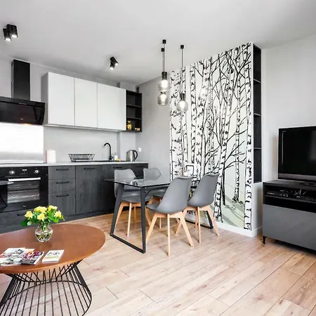 Apartamento Downtown Kosciuszki Cracovia